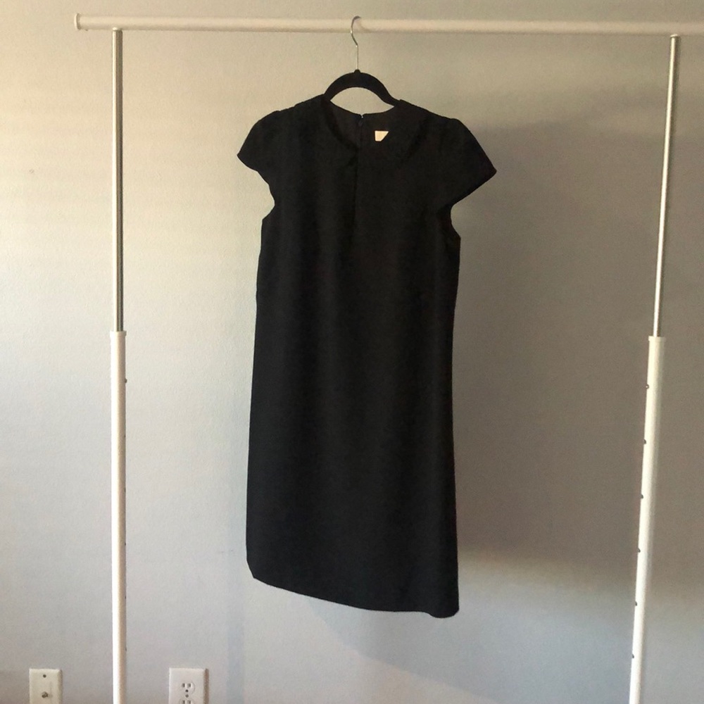 Ann Taylor Loft dress